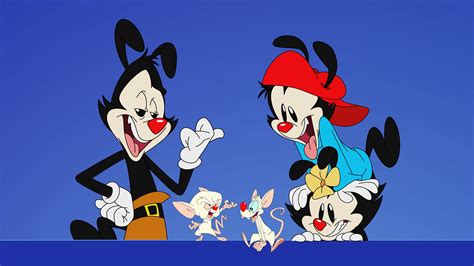 moviesjoy animaniacs|Animaniacs .